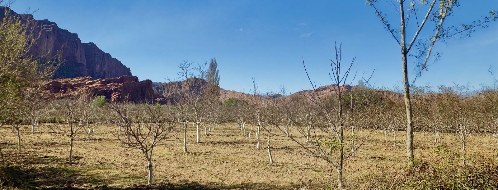 Lotes y Terrenos en Catamarca